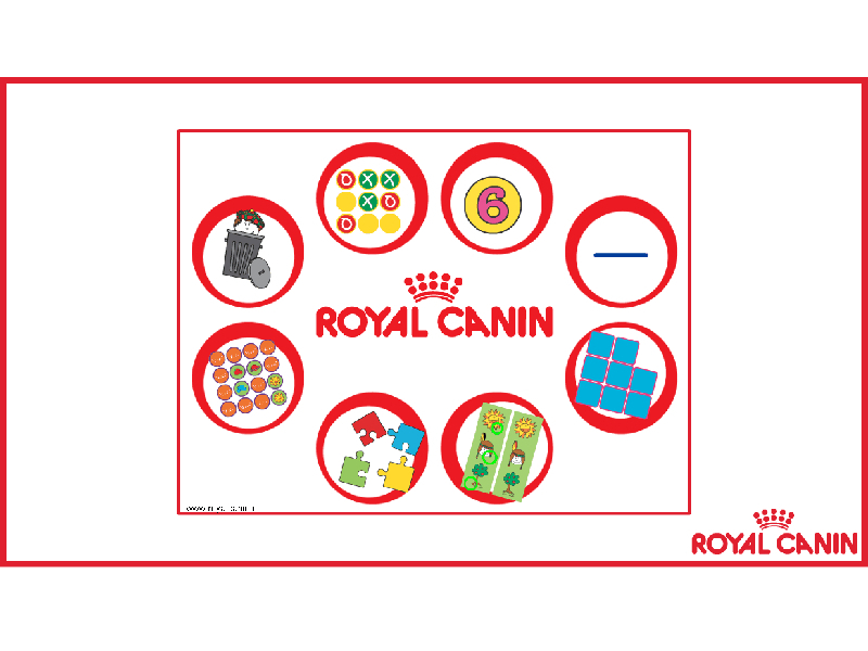 https://parquedebolas.com/images/productos/peq/Royal_Canin-1.jpg
